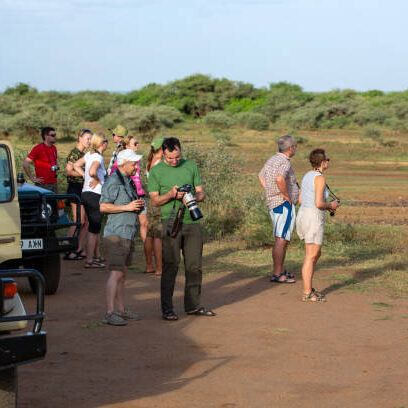 Group tour Vacations in Tanzania National Parks Safari vehicles are parked on the side as eager tourists step out, cameras in hand, observing the breathtaking wildlife around them. With binoculars, cameras, and lenses ready, the tourists immerse themselves in the raw beauty of the Serengeti, capturing unforgettable moments in one of the world's most iconic wilderness areas. This scene highlights the awe and excitement of an African safari, where human curiosity meets the untamed landscape.