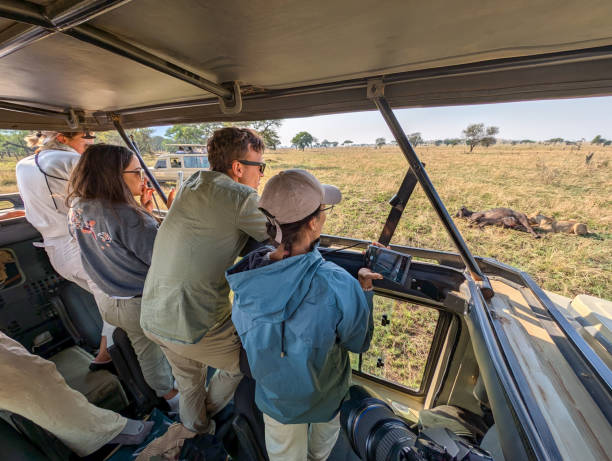 Game drives in Tanzania Parks