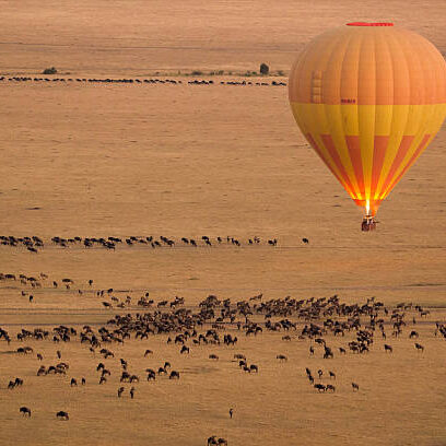 A Hot Air Balloon over the grazing wilderbeest in Serengeti np A Hot Air Balloon over the grazing wilderbeest in Serengeti Tanzania
