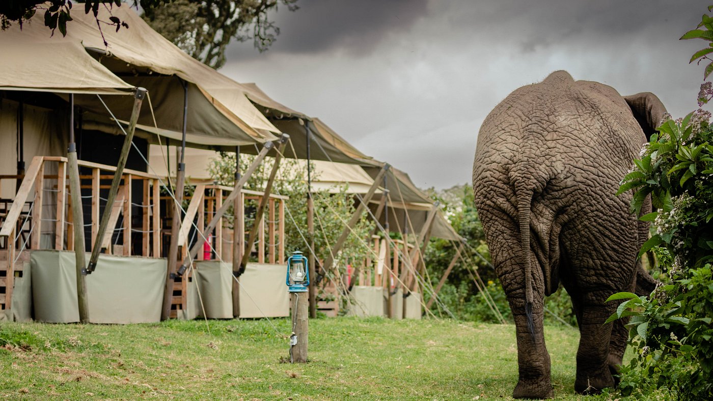 Ang’ata Ngorongoro Camp in Tanzania