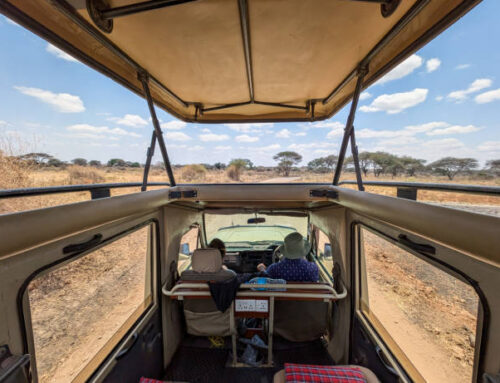 10 Must-Visit National Parks in Tanzania: Top Safari Spots