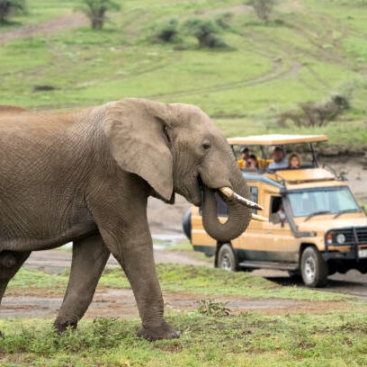 Safari Vehicle with tourists watching a large bull elephant. Ngorongoro, Tanzania