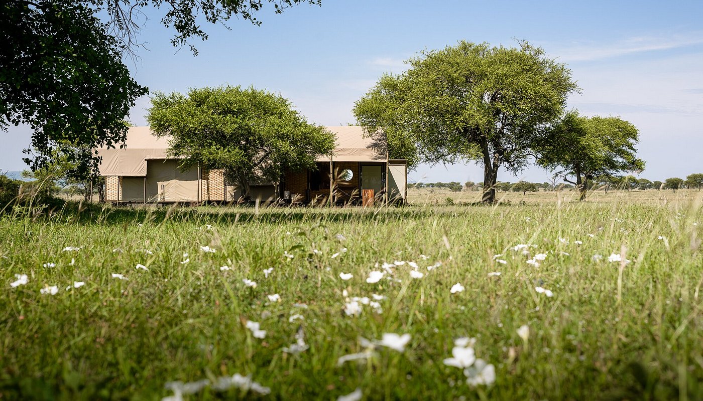 singita-sabora-tented-camp