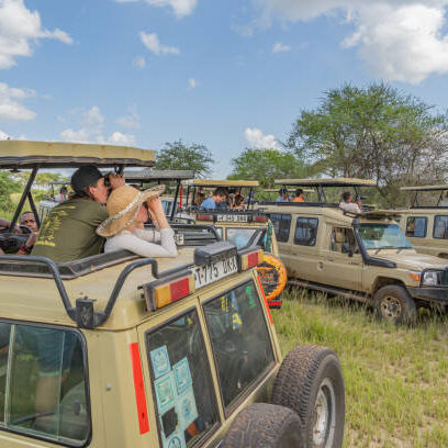 Many Cars with People, one Car close up, which take Pictures and looking from a Jeep Safari at Arusha National Park. Jeep Off Road Cars in African Savannah, Tanzania