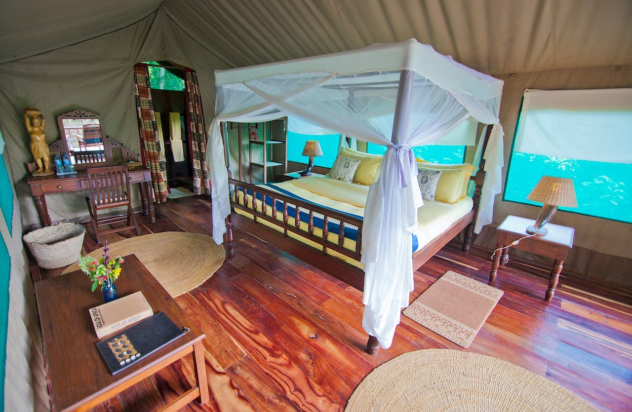 forest-tent-at-mbali Mbali Mbali Gombe forest tent interior
