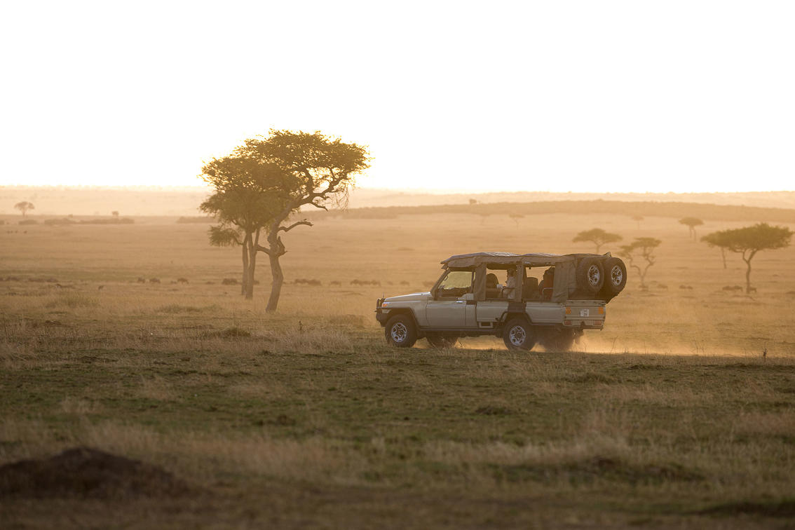 Game drives in Tanzania