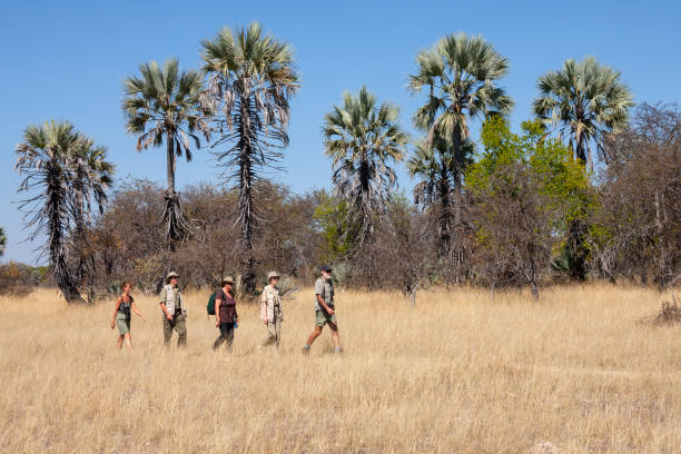 Ruaha walking safari in Tanzania Ruaha walking safari in Tanzania