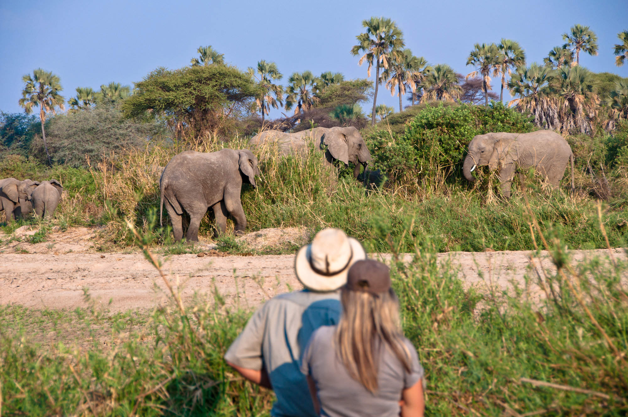 Maasai bush walking safaris involving a couple in Tanzania