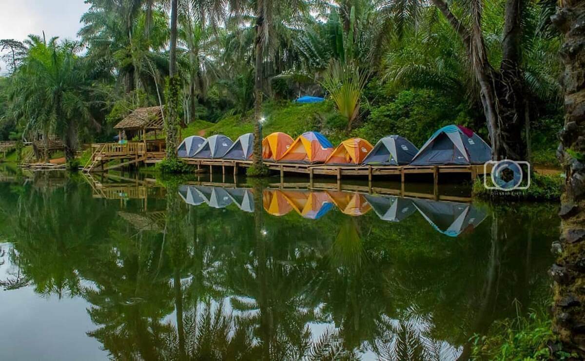 Magoroto Forest Estate in the Usambara Mountains