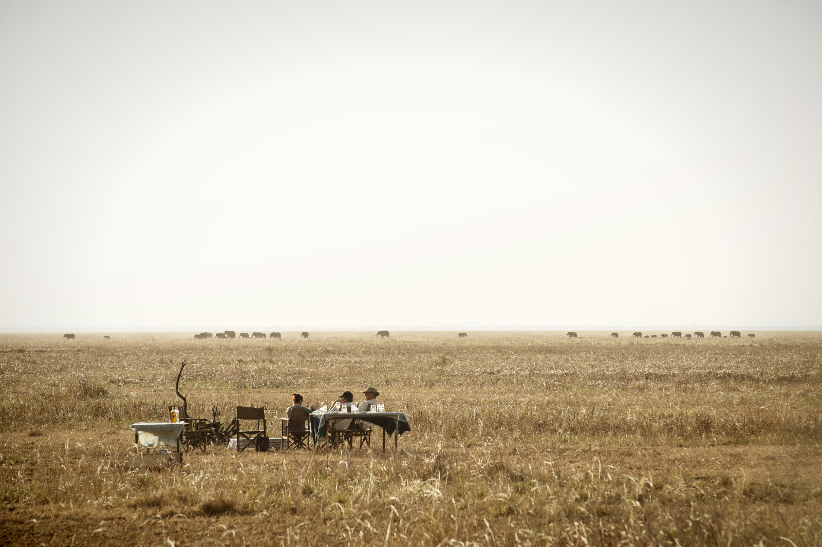 Katisunga plains in Katavi Park in Tanzania